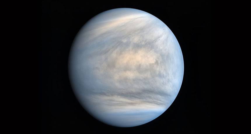 860_main_Venus.jpg