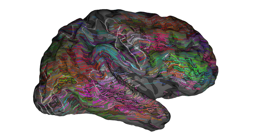 brain map