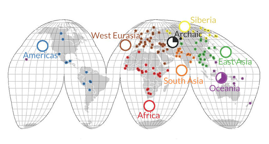 Ancient human genome atlas