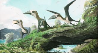 pterosaurs