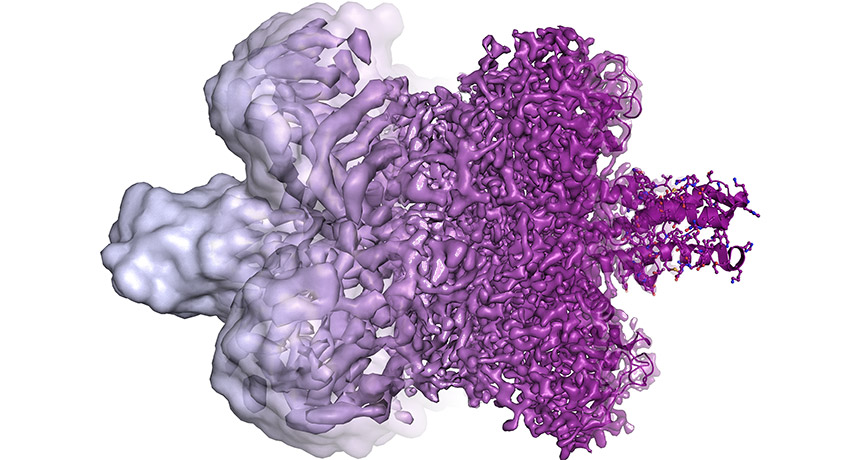 100417_chemnobel_ticker_credit-MartinHogbom.jpg