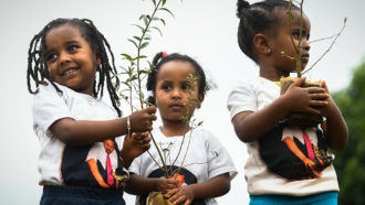 kids holding trees to plant