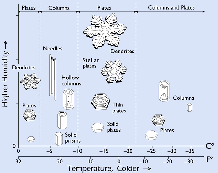 Snowflakes All Fall In One of 35 Different Shapes