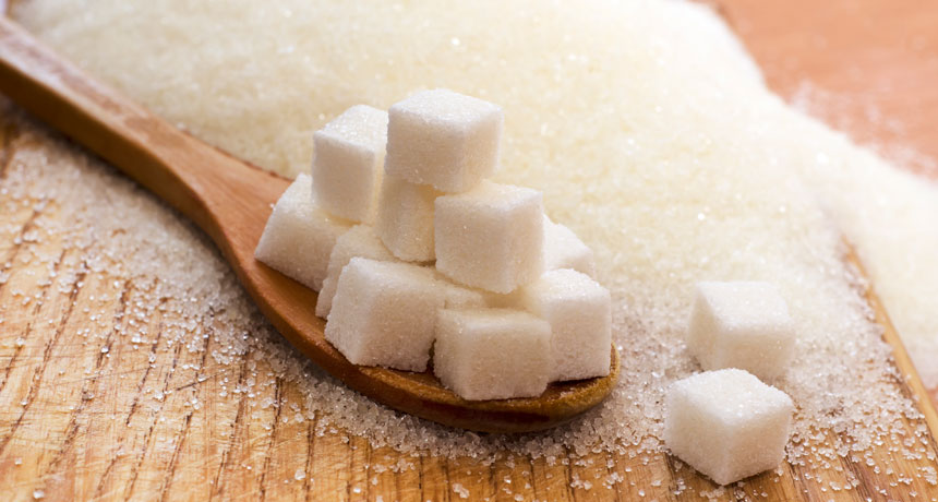 Sweet sleep aid? A new study showed that in mice, the presence of sugar in the brain encouraged them to fall asleep faster — and to stay deeply asleep longer — than mice whose brains did not get that sweet boost.