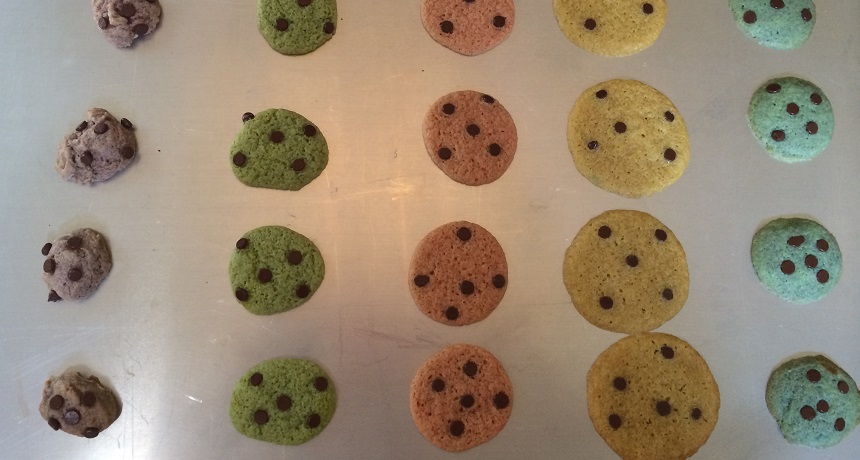 Fresh baked cookies in my second experiment. Those with the most xanthan gum are in purple (far left). The control cookies are in blue (far right).