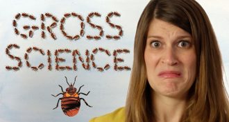 Science can be disgusting, but it can also be fascinating in a new video series.