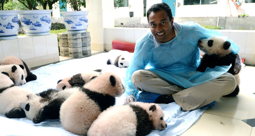 Sanjayan Pandas