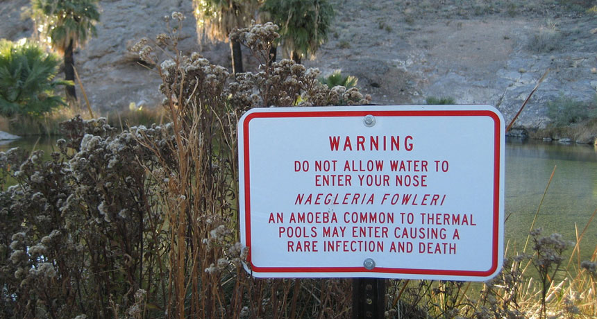 A sign at one of the more than 300 hot springs feeding into Nevada’s Lake Mead warns that this water is known to host Naegleria fowleri amoebas. The potentially deadly parasites can travel from someone’s nose into their brain.