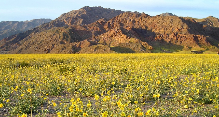 Death Valley