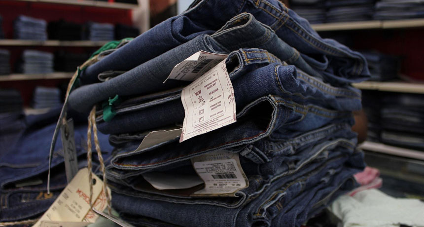 Engineered bacteria can produce indigo — without harsh chemicals — to dye denim, the fabric used in these jeans.