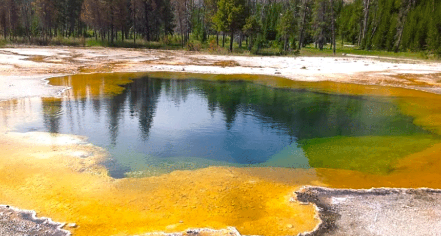 860-header-Morning-Glory_Hotspring.gif