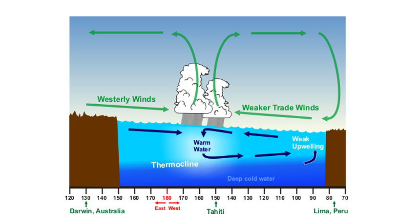 Normally, the temperature of the Pacific Ocean’s surface waters is about 7.8° Celsius (14° Fahrenheit) higher in the Western Pacific than the waters off South America. This is a result of the trade winds, which blow from east to west along the equator