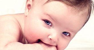 Early in development, all babies look much the same. They don’t take on features that make them more boy- or girl-like until later, when genes on their sex chromosomes instruct the body about how to finish sculpting its tissues.