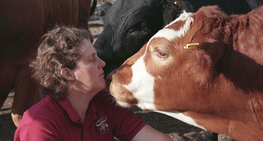 temple grandin