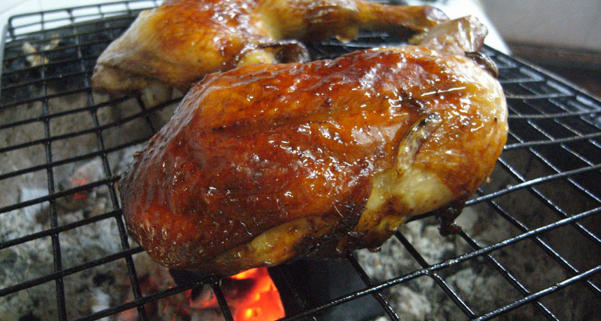 When grilling chicken this summer, stick with a plain grill, a teen’s experiment shows.