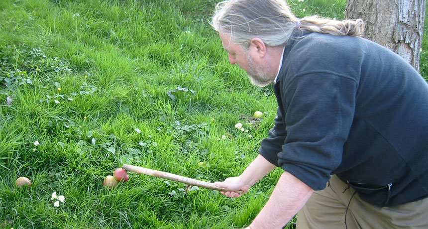 apple picking