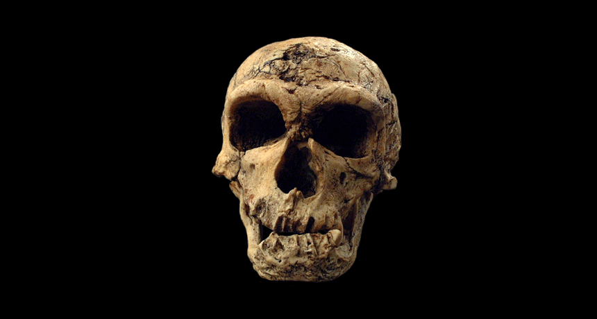 860-header-neandertal.gif