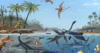 Not all ancient reptiles were dinos—even if they looked or lived like them.