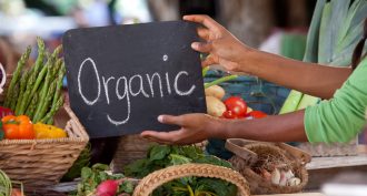 organic veggies