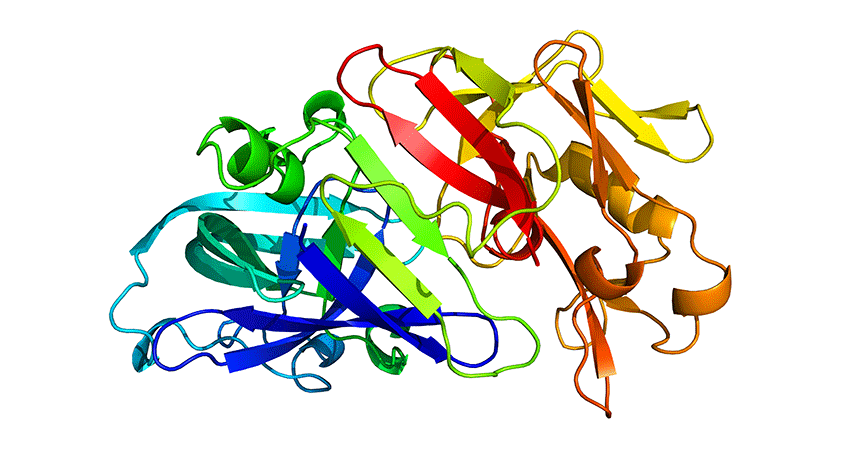 860-header-peptide.gif