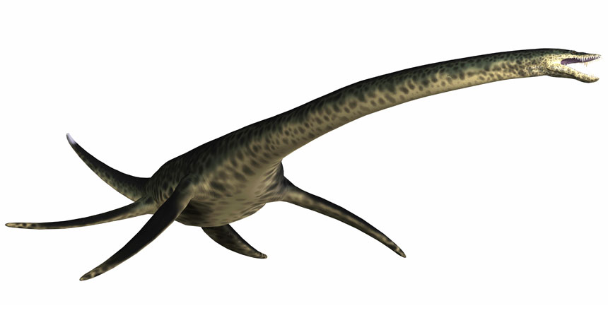 Plesiosaur