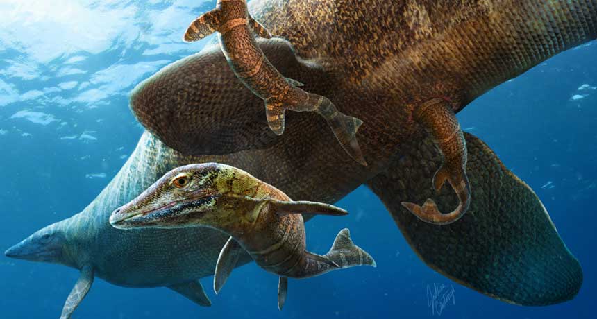 Mosasaurs, like those depicted here, may have given birth to their young while out at sea.