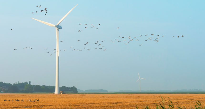 wind turbine