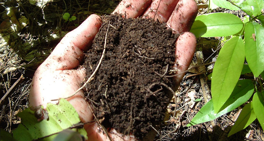 How Is Dirt Made? – Mother Earth News