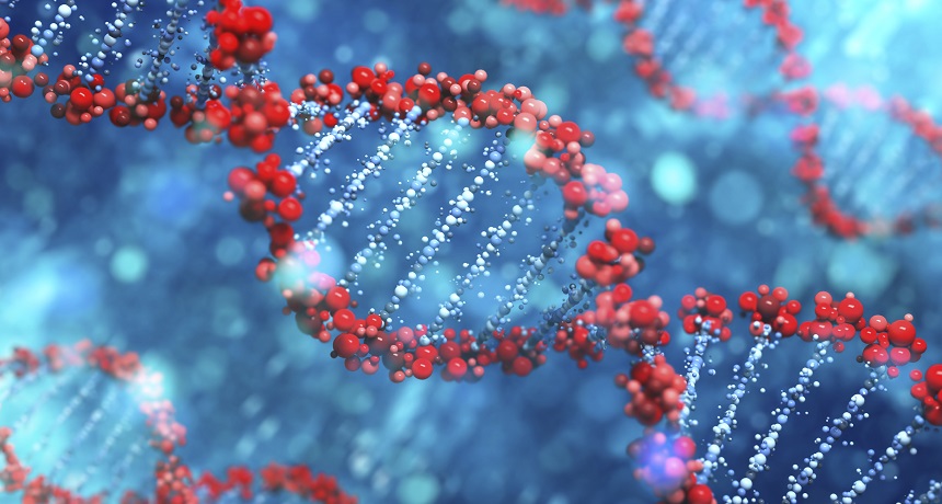 Long strands of DNA can contain many genes. We call a gene’s spot on a DNA molecule its locus.