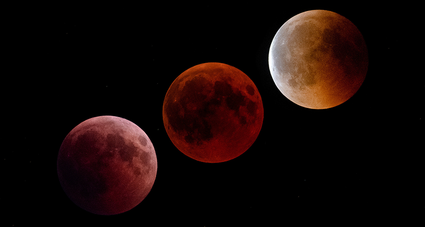 860_Jan_2019_lunar_eclipse.png