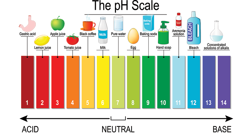 Scientists Say: pH