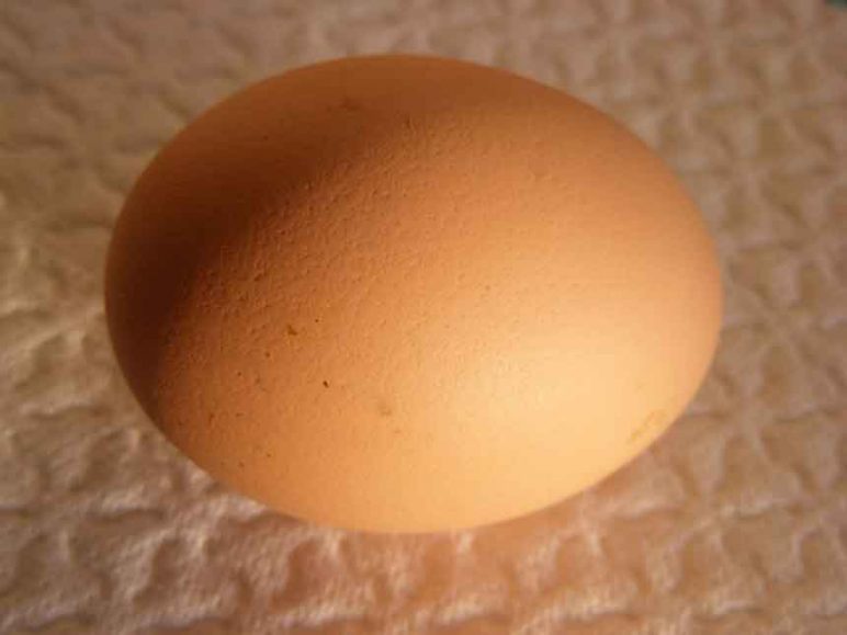 860_egg.jpg