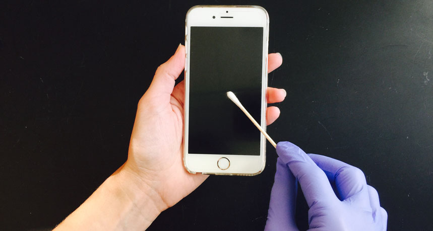 cell phone swab