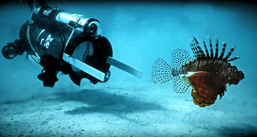 Underwater robot vacuums up lionfish