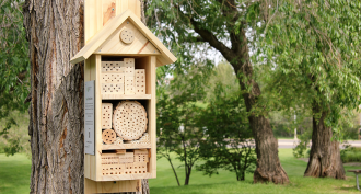 860_main_bee_hotel.png