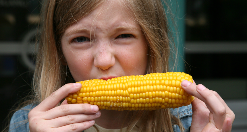kid eating corn