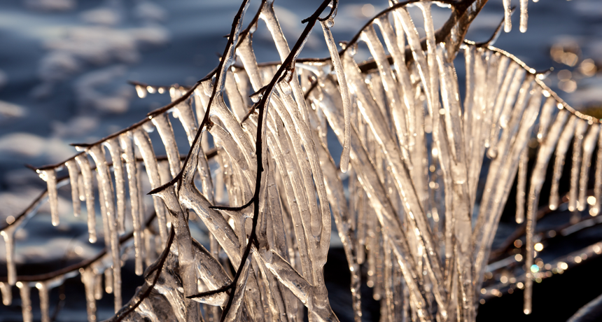 frozen water