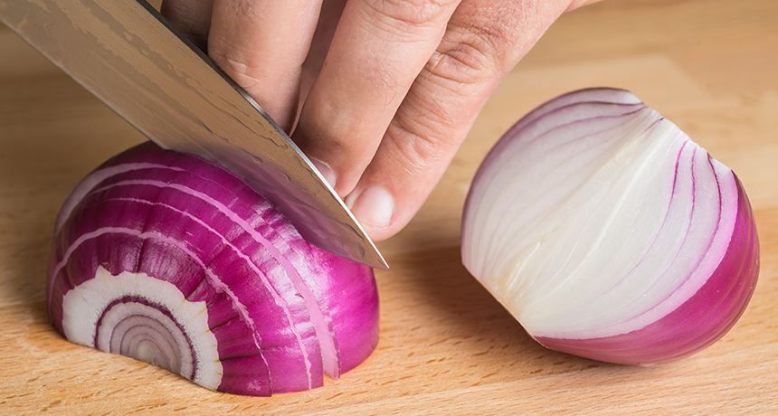 All About Onions - History, Chopping and Stopping Tears