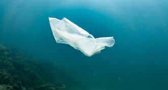 860_plastic_bags_biodegradeable.png