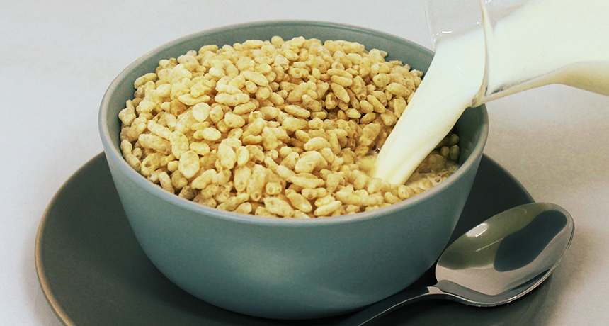 860_ricequakes_Cereal_Milk.png