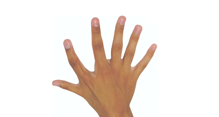 860_six_fingers.png