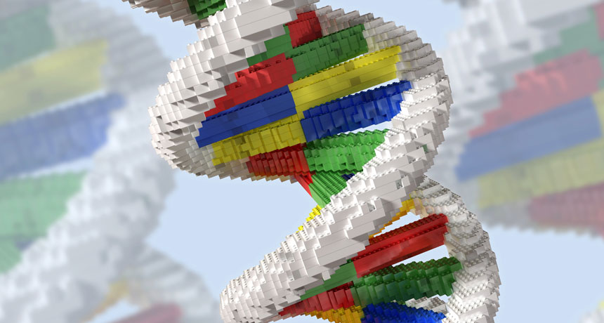 DNA lego