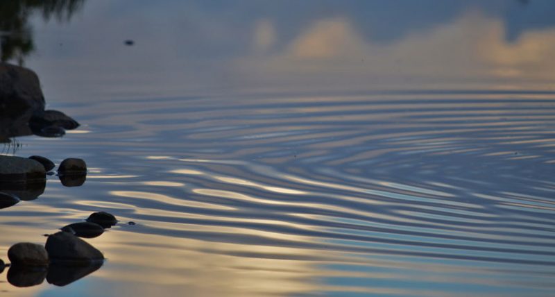 Scientists Say: Wavelength