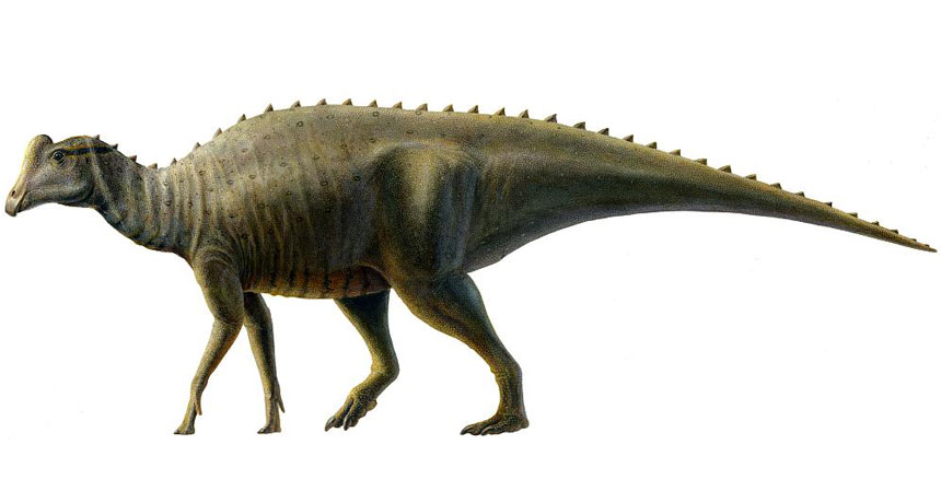 Researchers Discover 'Edward Scissorhands' Pterodactyl Predecessor » Explorersweb