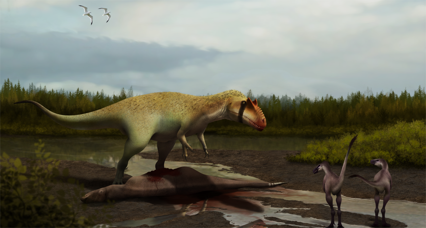 Paleontologists Stunning Conclusion: 2.5 Billion T. Rexes Roamed North America Over the Cretaceous Period