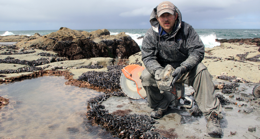 Fossil hunting can start as child's play