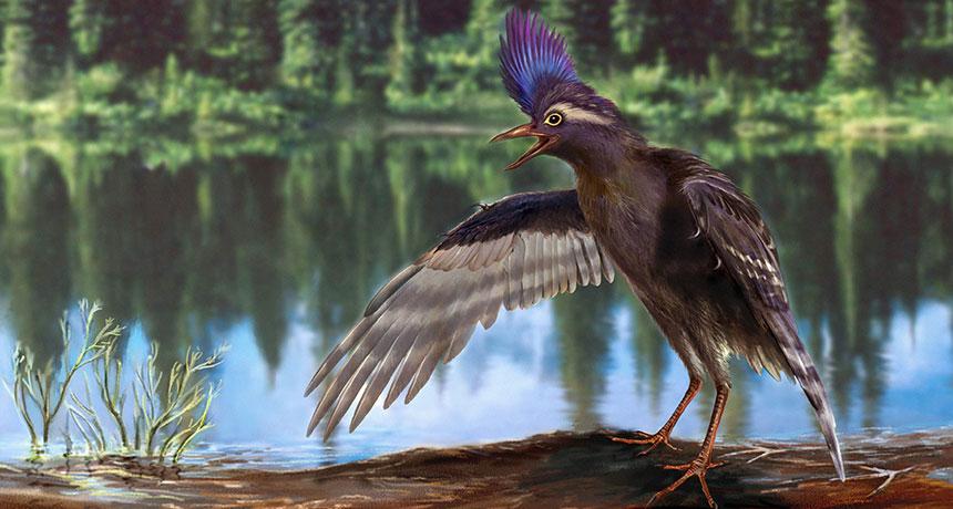 World's oldest blue bird found via fossil feathers