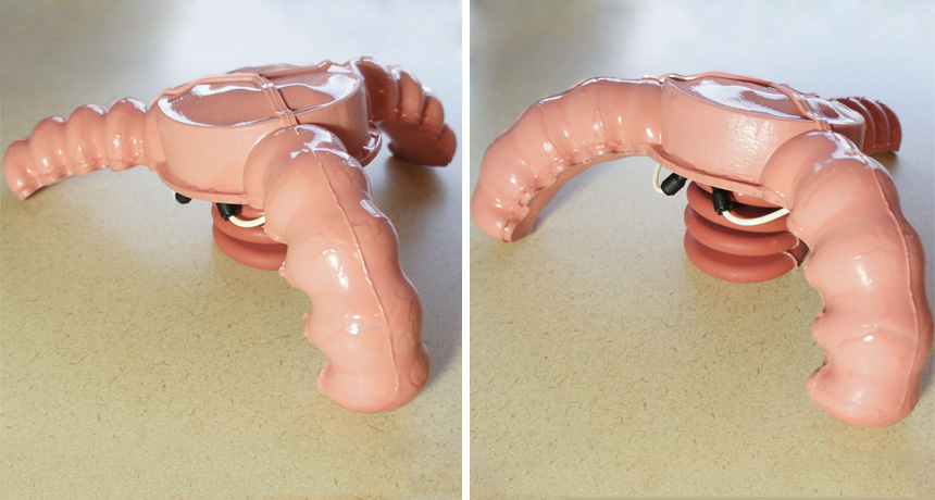 squishy, silicone-based robot