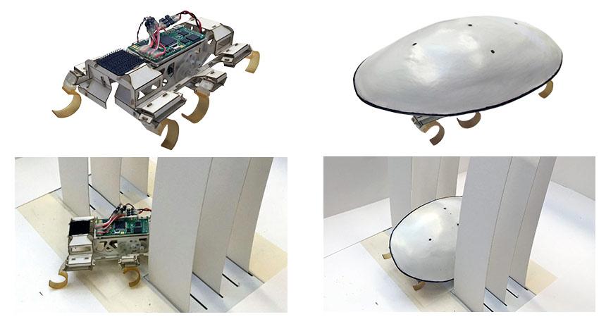 A six-legged robot can get stuck as it moves through narrow gaps in an obstacle course of stiff paper strips (bottom). But adding an arched shell to the machine (top, right) lets it turn sideways (bottom, right). Now it can scuttle through cracks with eas