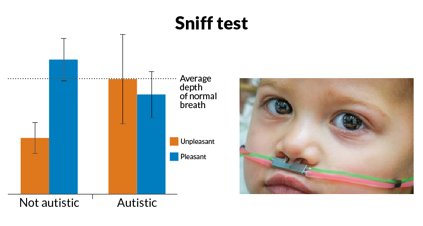 Unlike kids without autism, those with the disorder breathe in just about as deeply whether they’re smelling unpleasant odors like sour milk or pleasant ones such as roses, a new study suggests. Researchers delivered scents via tubes hooked up to a chil